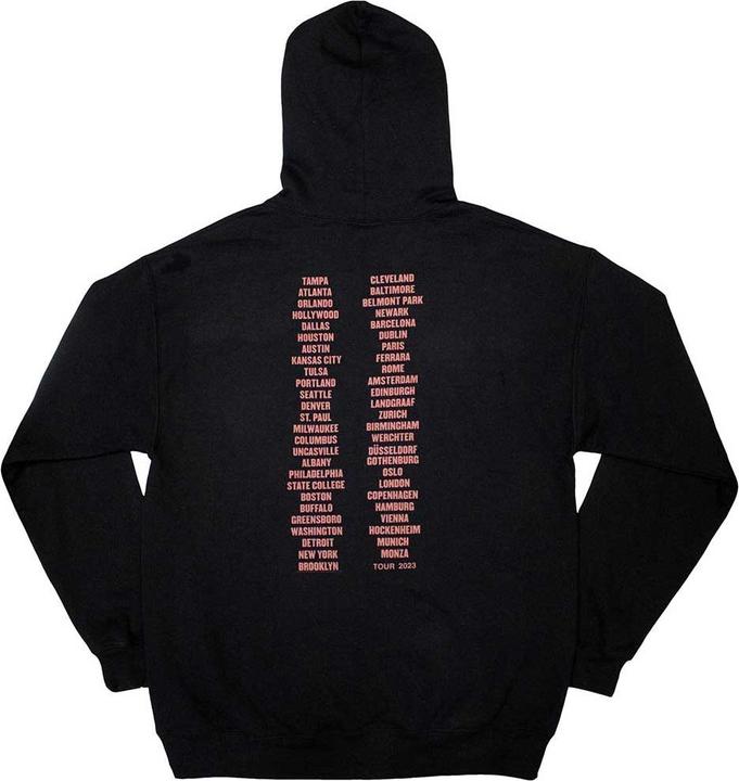Image du produit Universal Textiles - Sweat à capuche TOUR '23 CHAMPION - Adulte (M)