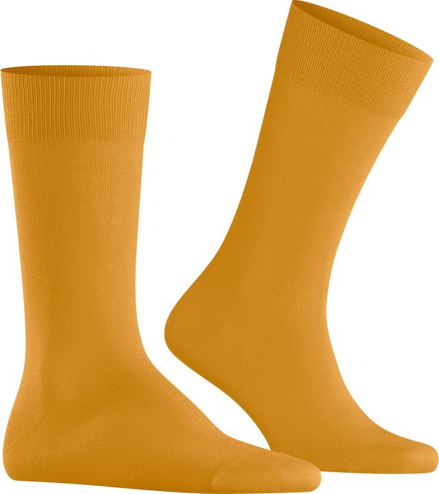 Yolk Yellow