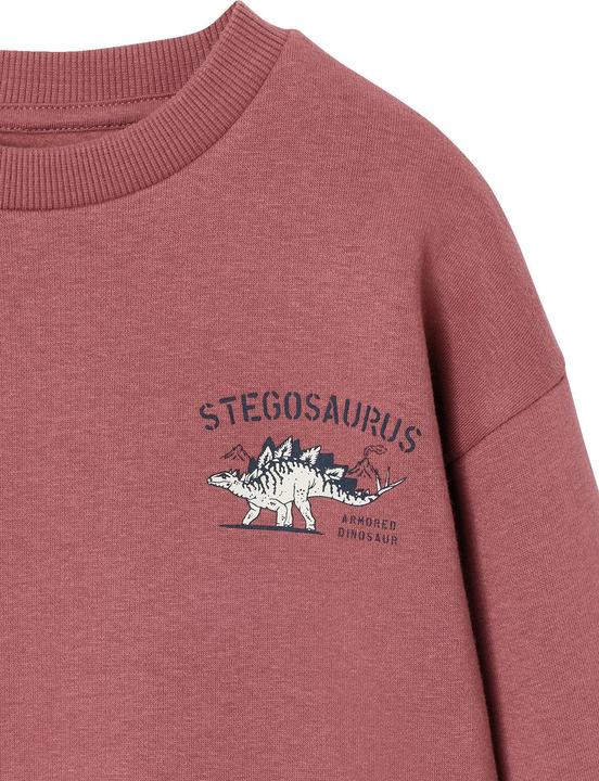 Produktbild Vertbaudet 2er-Pack Sweatshirts Cool & Fun Jungen (128)