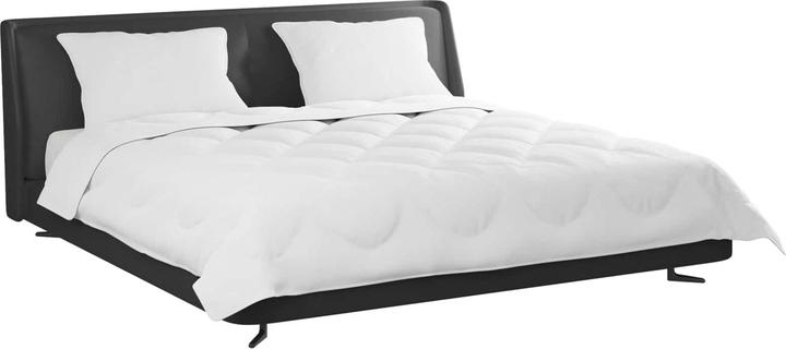 Image du produit vidaXL Parure de lit (4800 g, Microfibre, 240 x 220 cm)
