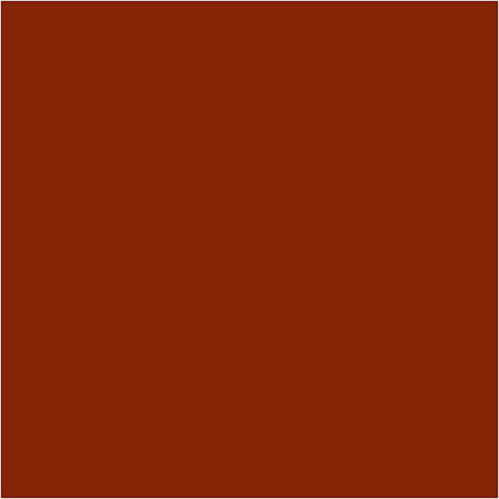 Image du produit Bic Kids Visacolor XL Marron rouge (12x)