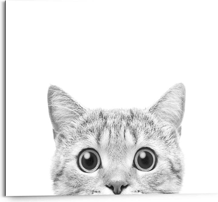 Produktbild Reinders Cat is watching (40 x 50 cm)