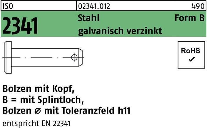 Actual product image Bolt ISO 2341 w.head/splint hole B 20 x65 x57 Steel galvanised