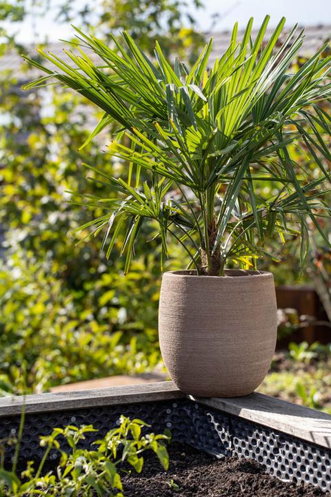 Actual product image Jaco Terracotta Nice (41 x 41 cm)