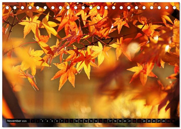 Actual product image Japan - Details (Tischkalender 2025 DIN A5 quer), Monatskalender (A5, German)