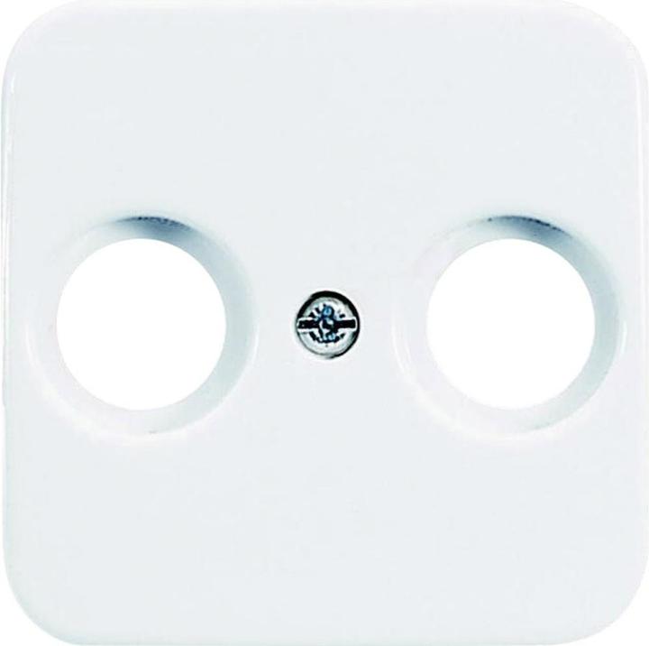 Actual product image Busch-Jaeger 2531-214 Socket fuse (2531-214)