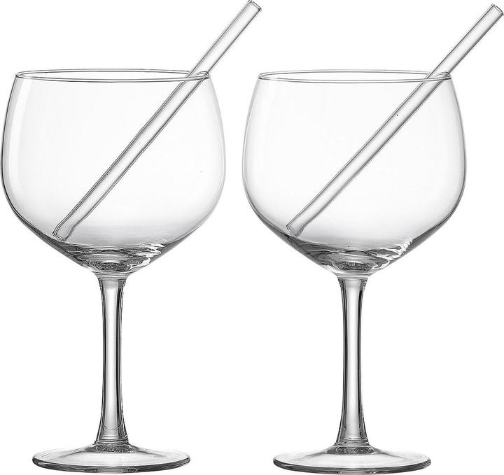 Ritzenhoff & Breker Verre à gin avec pailles (set de 2) (6.50 dl, 2 x, Verres à long drink)