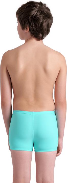 Actual product image Arena B Kikko V Swim Short Graphic (164)