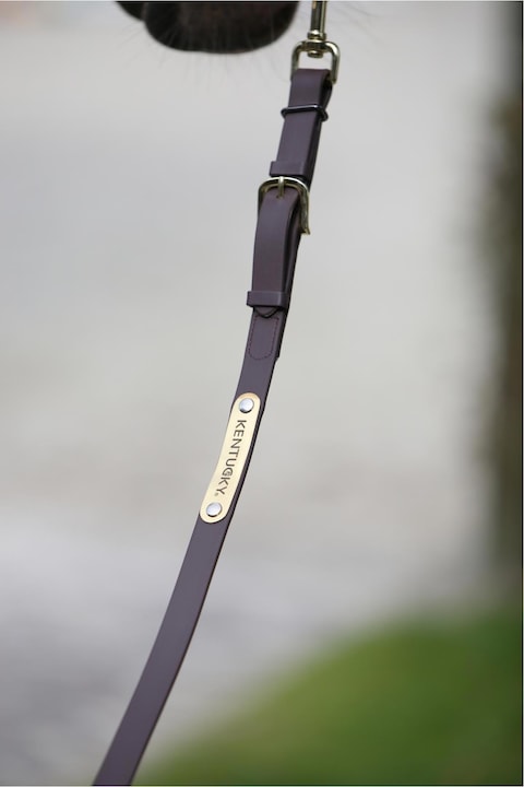 Immagine prodotto Kentucky Horsewear Corda dimostrativa 2m Biothane Beta