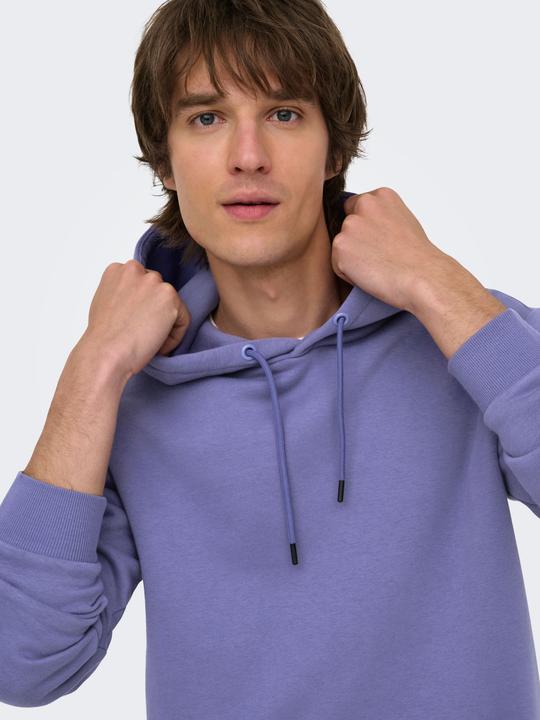 Produktbild Only & Sons Onsceres Hoodie Sweat Noos (L)