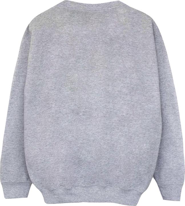 Actual product image Nasa Boys Space Shuttle Sweatshirt (152, 158)