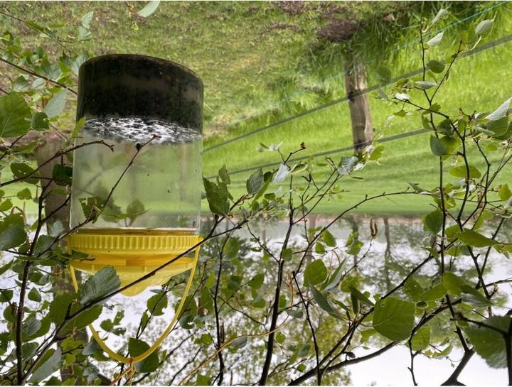 Produktbild Knock Off FlyNip FliegenFalle