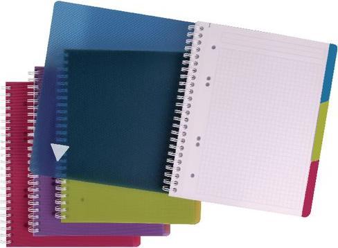 Actual product image Clairefontaine Linicolor Evolutive Book (A4+, Checked, Hardcover)