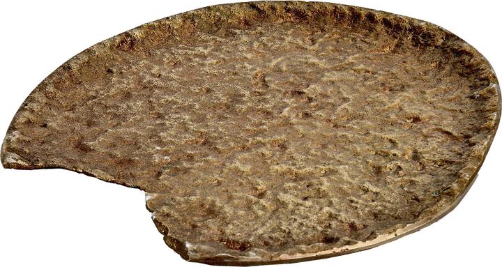 Actual product image EGLO LIVING Forleyet