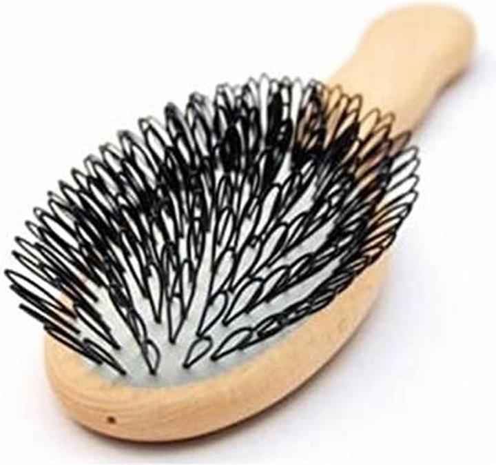 Immagine prodotto Acca Kappa Protezione Spazzola ovale in legno di faggio con filo di nylon Standard