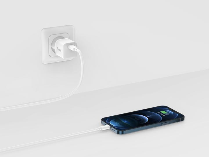 Image du produit Conceptronic Chargeur 1Port 20W,1xUSB-C PD blanc (20 W)