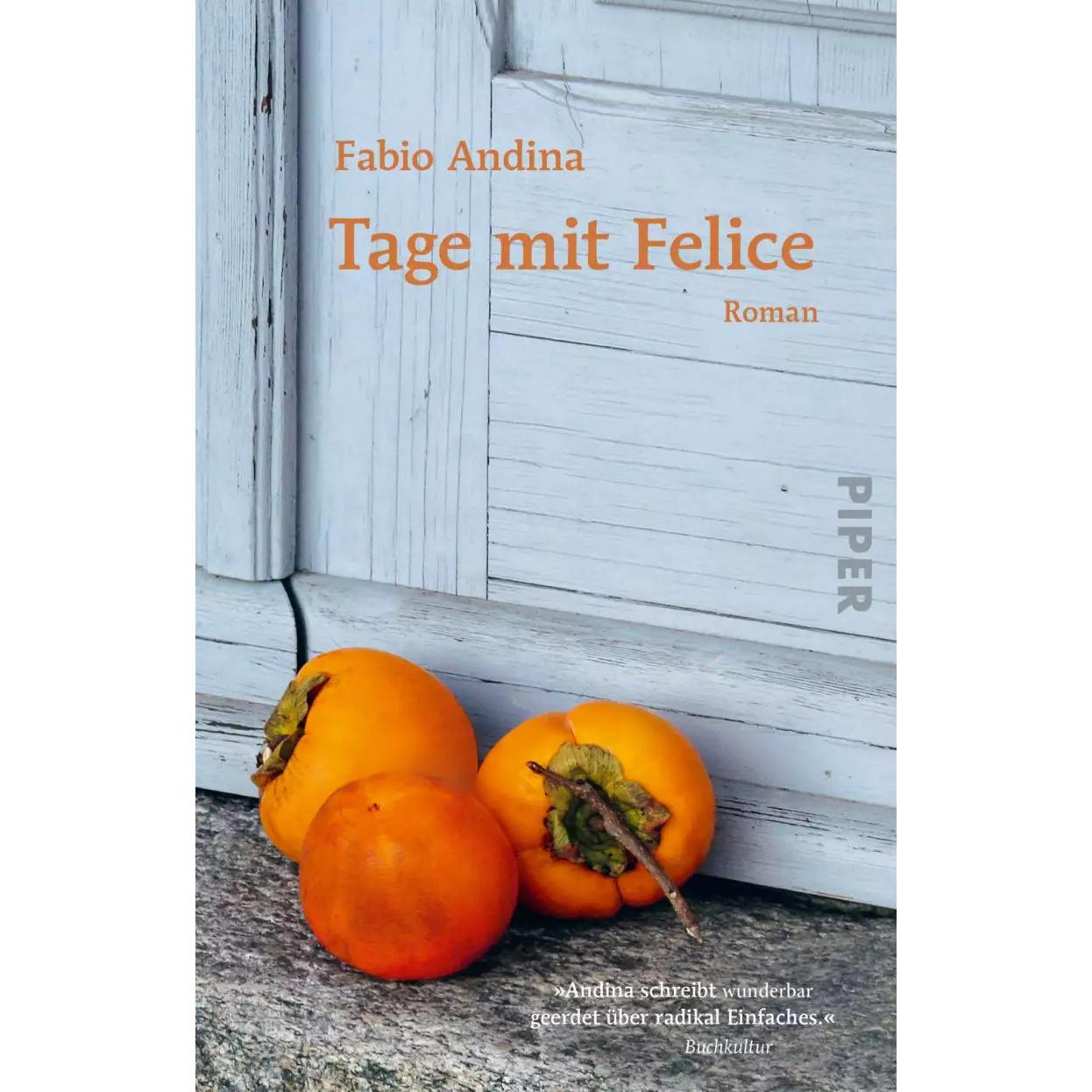 Tage mit Felice, Belletristik von Fabio Andina