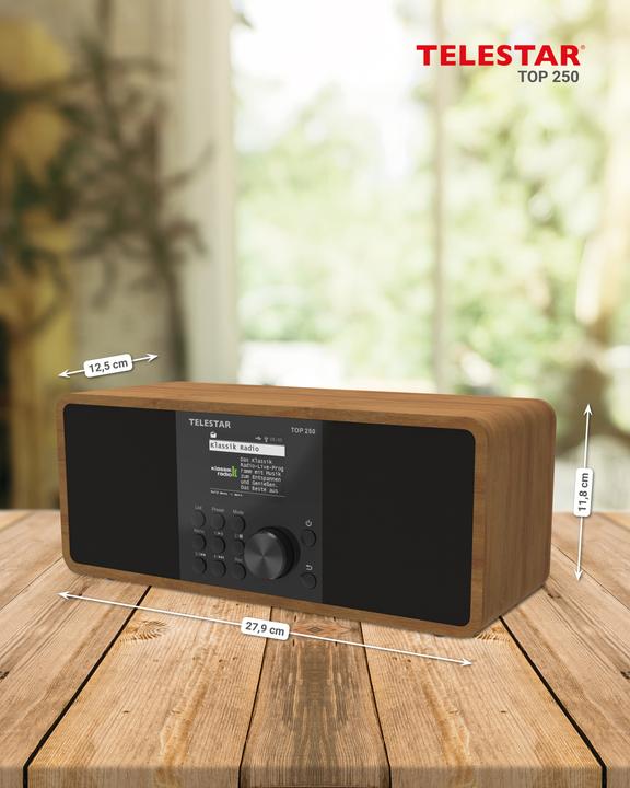 Actual product image Telestar Top 250 (Web radio, DAB+, FM, Bluetooth, Wi-Fi)