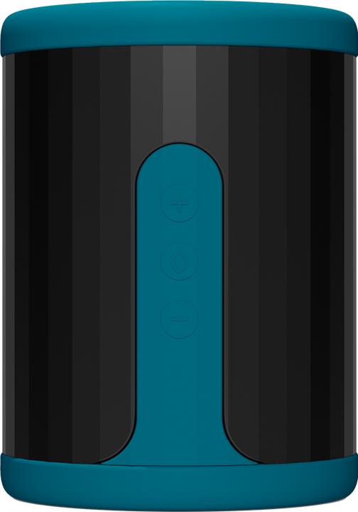 Actual product image LELO F2S