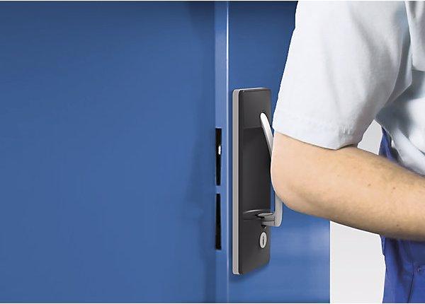 Actual product image C+P Vision panel double door cupboard, with 2 shelves, HxWxD 1016 x 500 x 500 mm (93 cm, 195 cm)