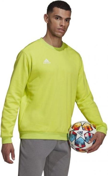 Actual product image adidas Entrada 22 sweatshirt men (L)