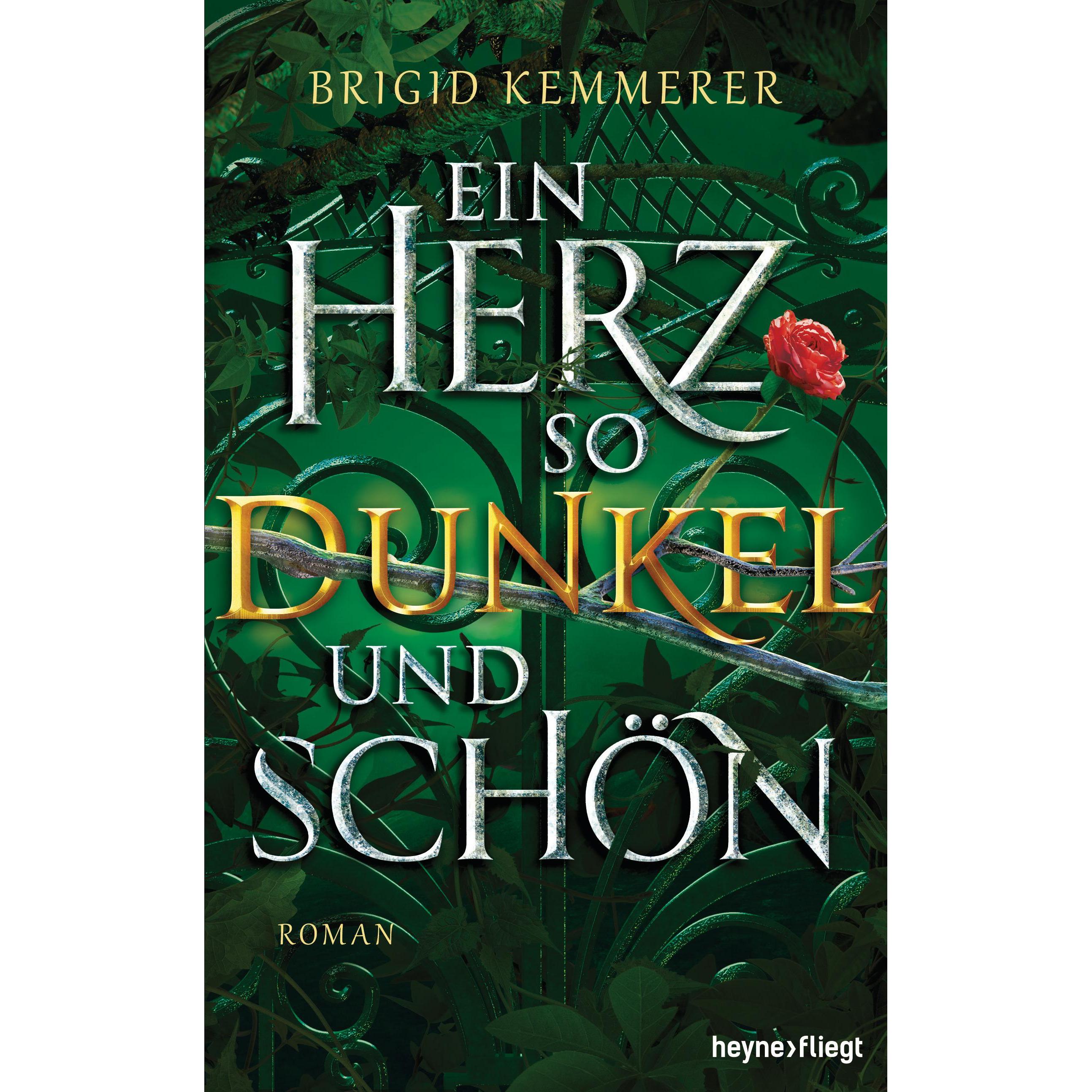 Ein Herz so dunkel und schön, Belletristik von Brigid Kemmerer