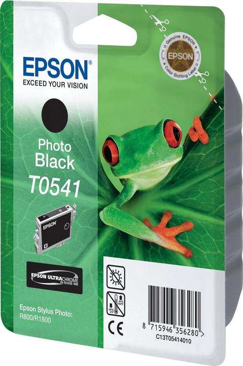Actual product image Epson T0541 (PBK)
