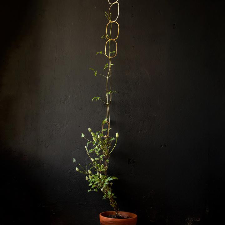 Produktbild Botanopia Rankhilfe