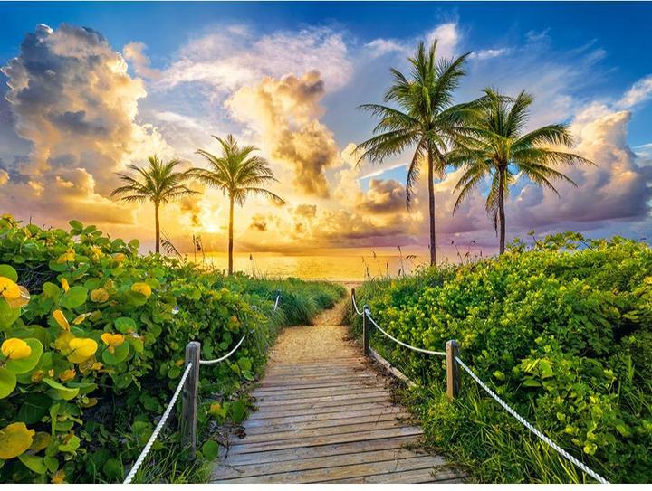 Actual product image Castorland Colorful Sunrise in Miami, USA Puzzle 3000 pieces (3000 pieces)
