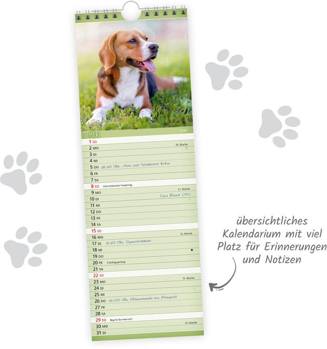 Produktbild Trtsch Streifenkalender Hunde 2026 Notizkalender (Harter Einband, Deutsch)