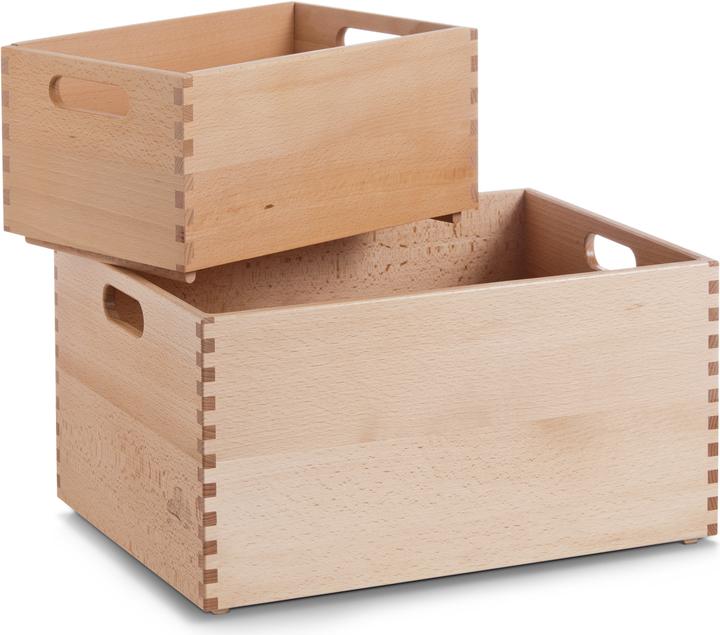 Produktbild Zeller Present Allzweckkiste (40 x 30 x 21 cm, 20 l)