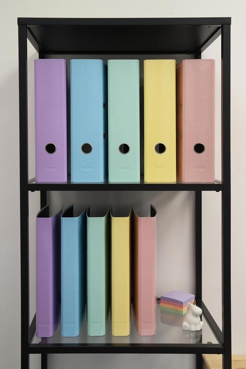 Actual product image Exacompta Folder (A4, 80 mm, 1 Piece)