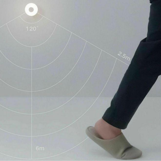 Actual product image Xiaomi Mijia 2