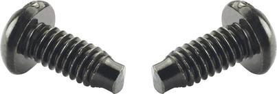 Panduit (S1224-C) KIT 100 VITI AUTOFILETTANTI PER RACK