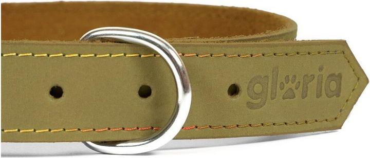 Image du produit Gloria Collier de chien Oasis vert 40 cm (40 x 1,5 cm) (Nubuck)