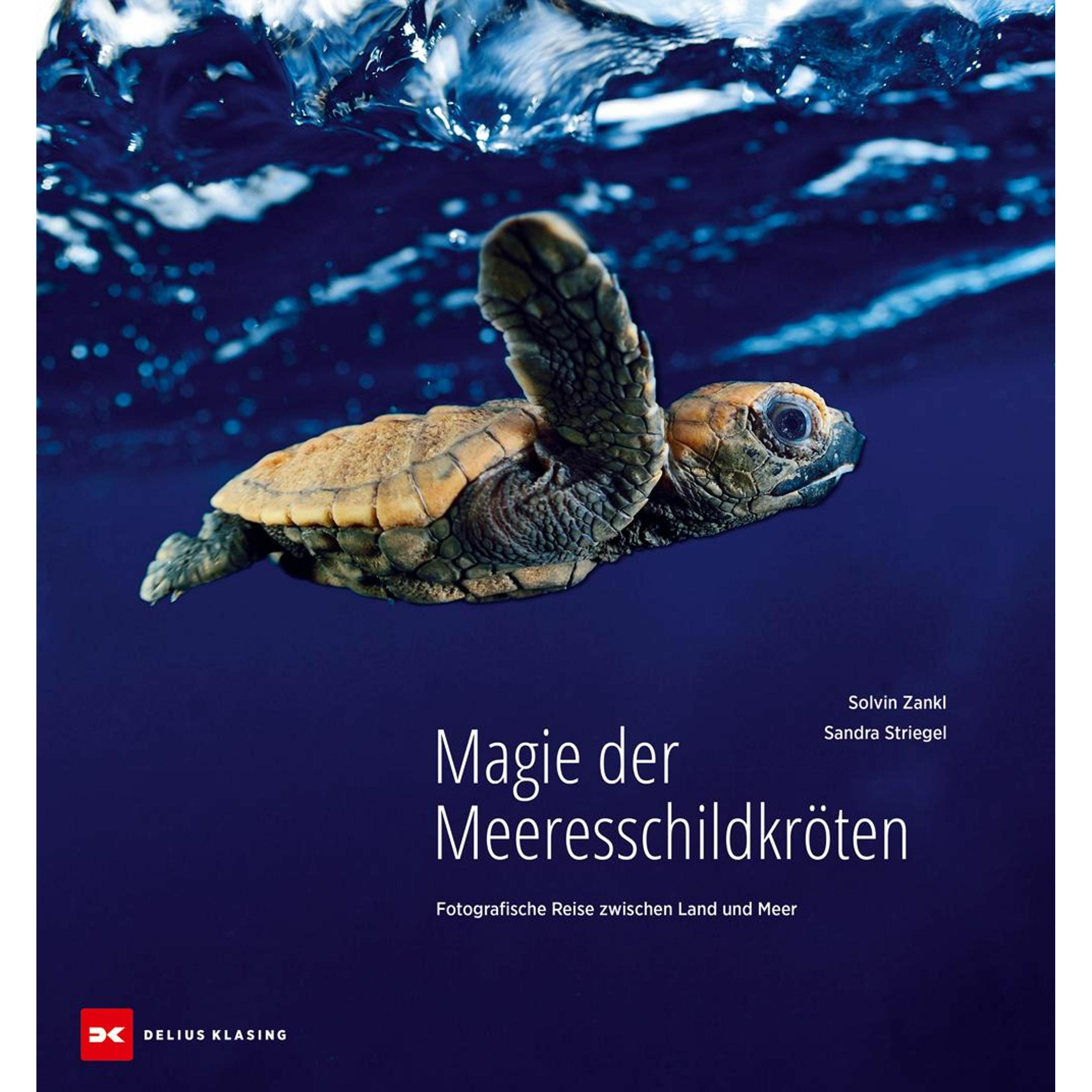 Magie der Meeresschildkröten, Ratgeber von Sandra Striegel