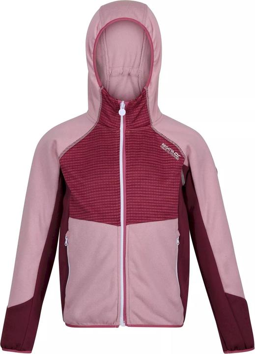 Actual product image Regatta Prenton Fleece Jacket Light (164)