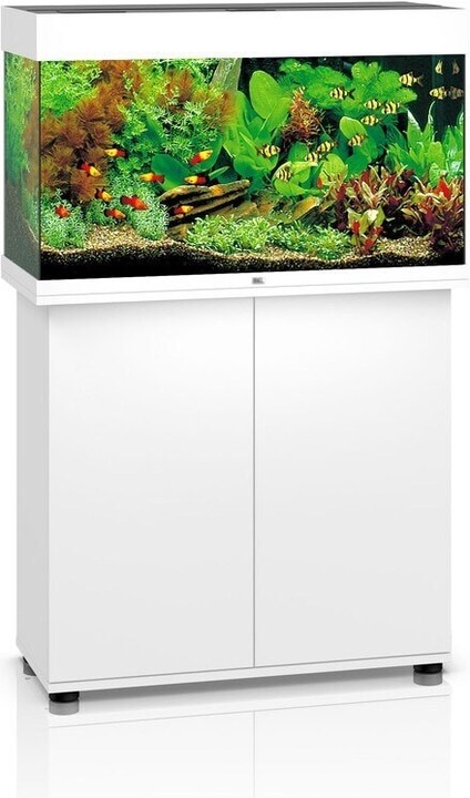 Immagine prodotto Juwel Aquarium Rio (125 l)