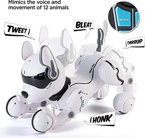 Produktbild Top Race Roboterhund