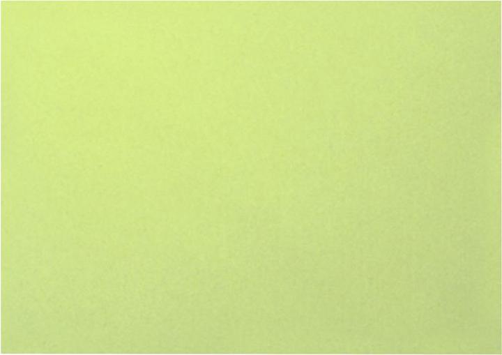 Biella Fiches d'information (A6, 200 g/m², 100 x)