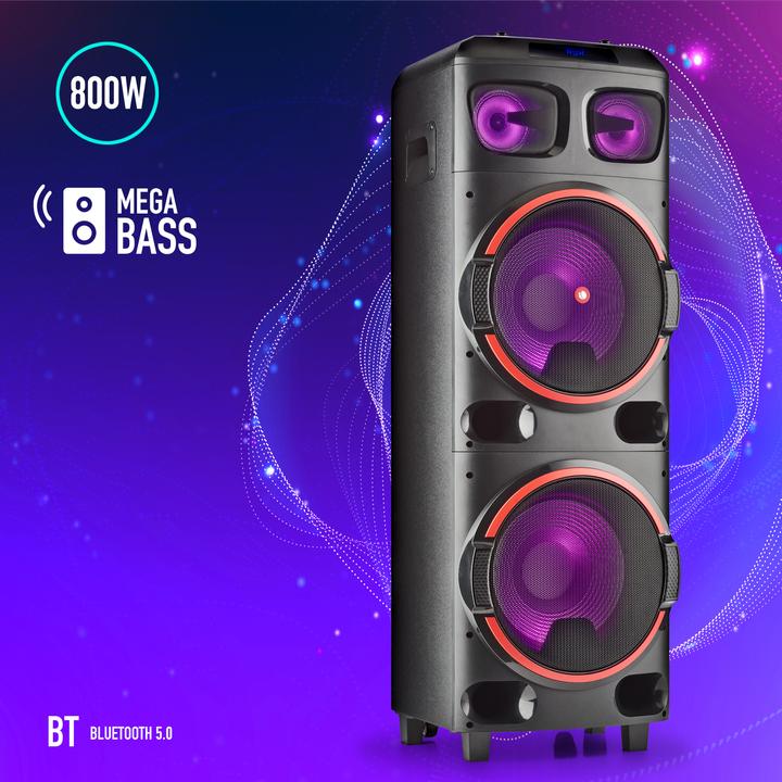 Actual product image NGS Wild Dub 2 (Electrical connection)