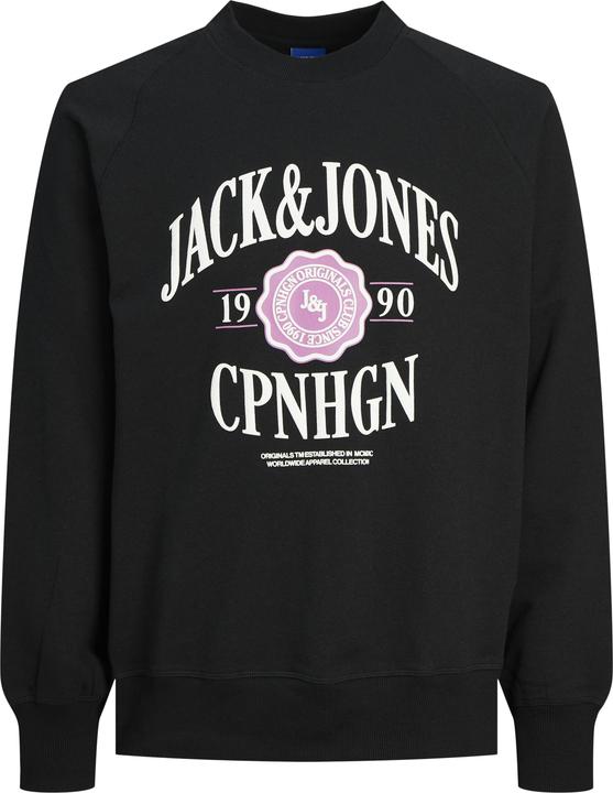 Actual product image Jack & Jones Printed sweatshirt with round neck Sweatshirt with round neck (S)