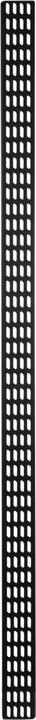 Actual product image DS-IT Vertical cable management strip