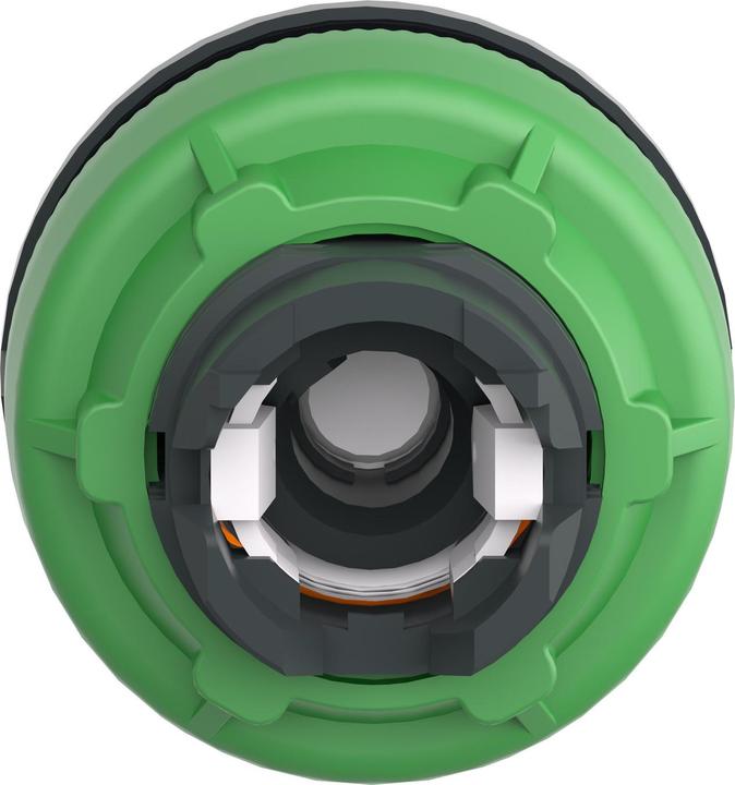 Actual product image Schneider Electric Illuminated selector switch, front, plastic, ZB5FK1253C0
