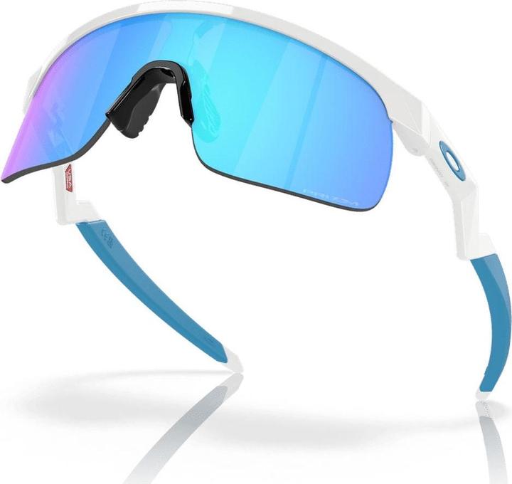 Actual product image Oakley Resistor (Polished white, Prizm Sapphires)
