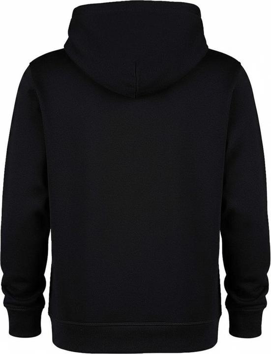 Produktbild Amplified Kapuzenpullover Logo (S)