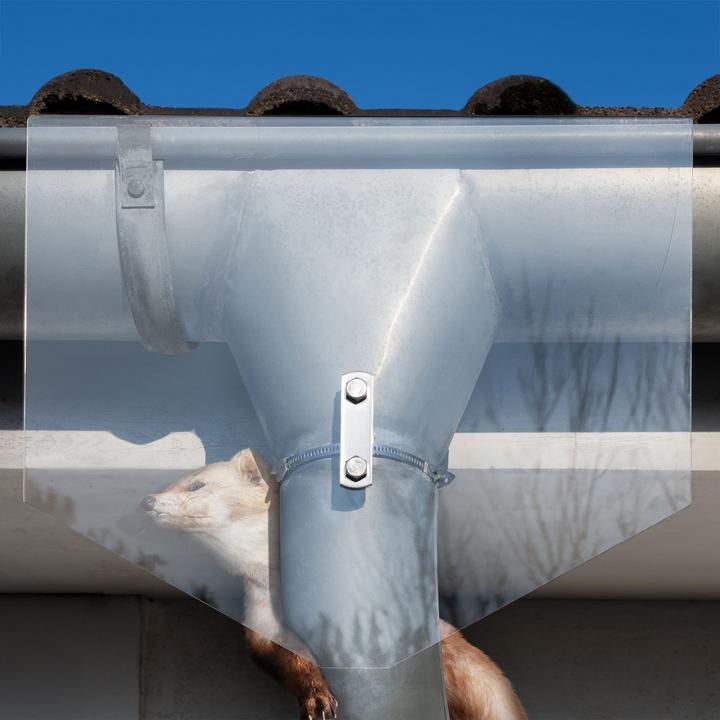 Gardigo 60036INT Marderabwehr 1 St.