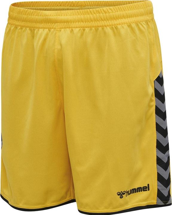 Actual product image hummel Authentic Poly Shorts (S)