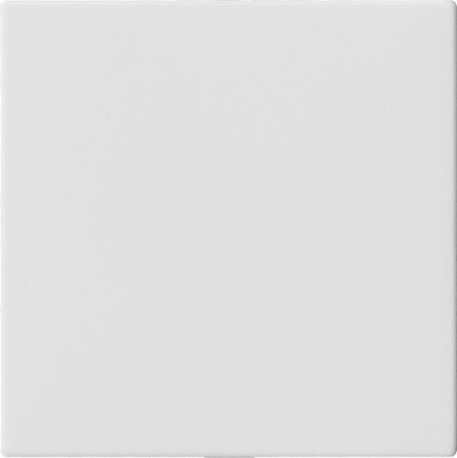 Actual product image Gira Blind cover without support ring System 55 pure white 810827