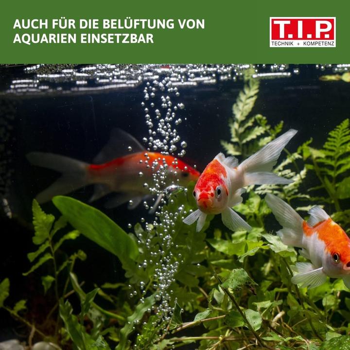 Produktbild T.I.P. Teichbelüfter